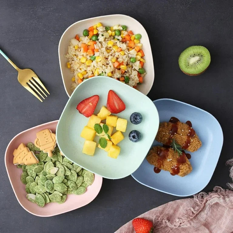 Dish Plate Set with Holders for your dining setup with Colorful, Unbreakable Plates