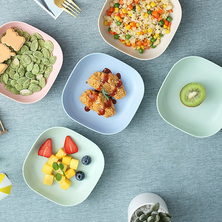 Dish Plate Set with Holders for your dining setup with Colorful, Unbreakable Plates